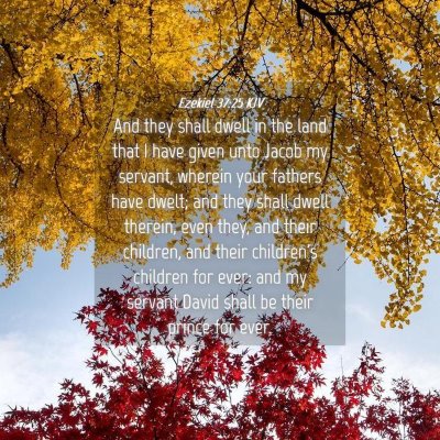 Picture 04 - Ezekiel 37:25 KJV - And they shall dwell in the land that I have - Bible Verse Picture
