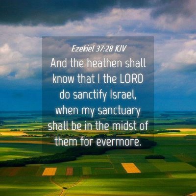 Picture 04 - Ezekiel 37:28 KJV - And the heathen shall know that I the LORD do - Bible Verse Picture