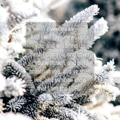 Picture 04 - Ezekiel 37:6 KJV - And I will lay sinews upon you, and will bring up - Bible Verse Picture