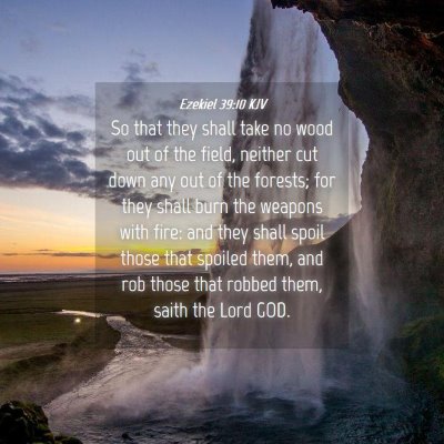 Picture 04 - Ezekiel 39:10 KJV - So that they shall take no wood out of the field, - Bible Verse Picture