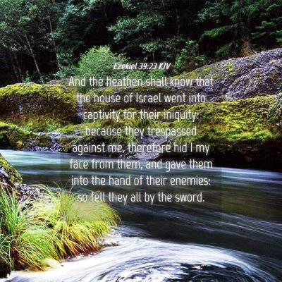 Picture 04 - Ezekiel 39:23 KJV - And the heathen shall know that the house of - Bible Verse Picture
