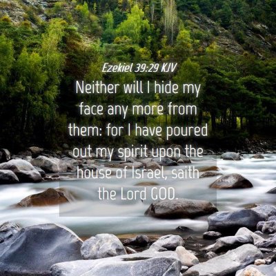 Picture 04 - Ezekiel 39:29 KJV - Neither will I hide my face any more from them: - Bible Verse Picture