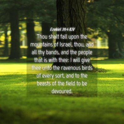 Picture 04 - Ezekiel 39:4 KJV - Thou shalt fall upon the mountains of Israel, - Bible Verse Picture