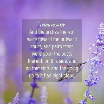 Picture 04 - Ezekiel 40:34 KJV - And the arches thereof were toward the outward - Bible Verse Picture