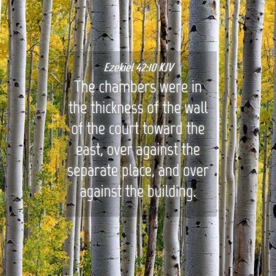 Picture 04 - Ezekiel 42:10 KJV - The chambers were in the thickness of the wall of - Bible Verse Picture