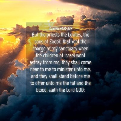 Picture 04 - Ezekiel 44:15 KJV - But the priests the Levites, the sons of Zadok, - Bible Verse Picture