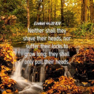 Picture 04 - Ezekiel 44:20 KJV - Neither shall they shave their heads, nor suffer - Bible Verse Picture