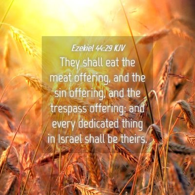 Picture 04 - Ezekiel 44:29 KJV - They shall eat the meat offering, and the sin - Bible Verse Picture