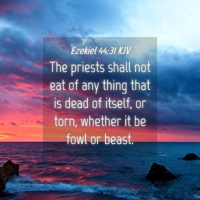 Picture 04 - Ezekiel 44:31 KJV - The priests shall not eat of any thing that is - Bible Verse Picture