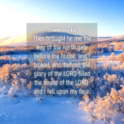 Picture 04 - Ezekiel 44:4 KJV - Then brought he me the way of the north gate - Bible Verse Picture