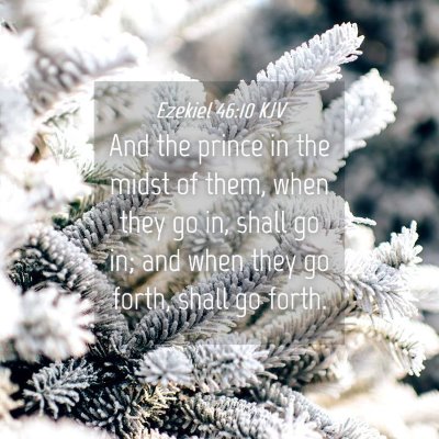 Picture 04 - Ezekiel 46:10 KJV - And the prince in the midst of them, when they go - Bible Verse Picture