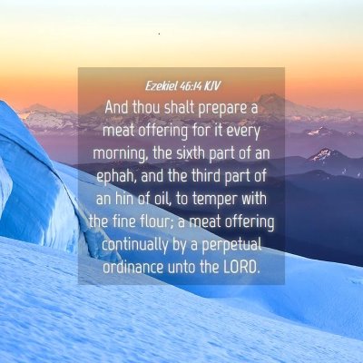 Picture 04 - Ezekiel 46:14 KJV - And thou shalt prepare a meat offering for it - Bible Verse Picture