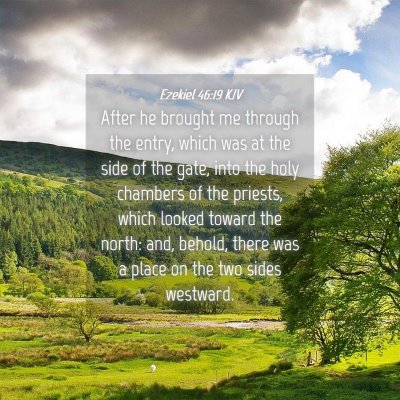 Picture 04 - Ezekiel 46:19 KJV - After he brought me through the entry, which was - Bible Verse Picture