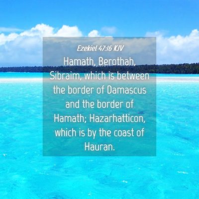 Picture 04 - Ezekiel 47:16 KJV - Hamath, Berothah, Sibraim, which is between the - Bible Verse Picture