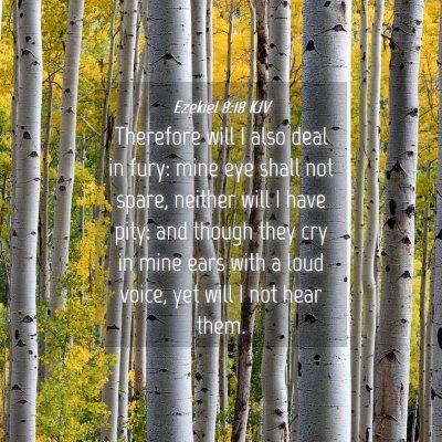 Picture 04 - Ezekiel 8:18 KJV - Therefore will I also deal in fury: mine eye - Bible Verse Picture