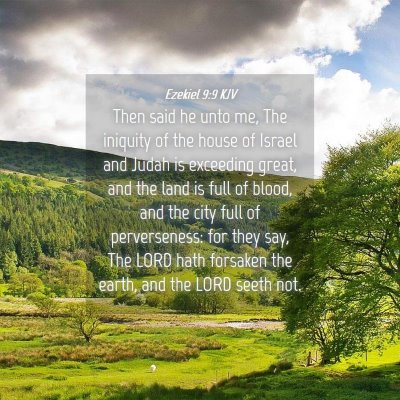 Picture 04 - Ezekiel 9:9 KJV - Then said he unto me, The iniquity of the house - Bible Verse Picture