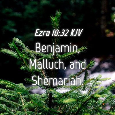 Picture 04 - Ezra 10:32 KJV - Benjamin, Malluch, and - Bible Verse Picture