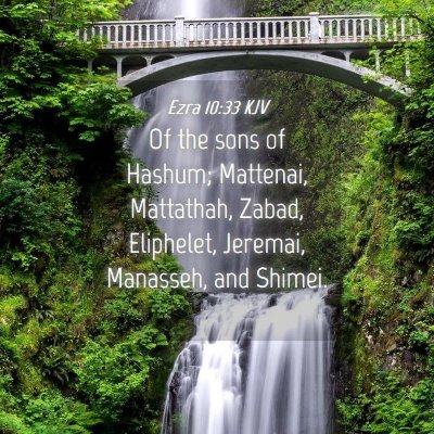 Picture 04 - Ezra 10:33 KJV - Of the sons of Hashum; Mattenai, Mattathah, - Bible Verse Picture
