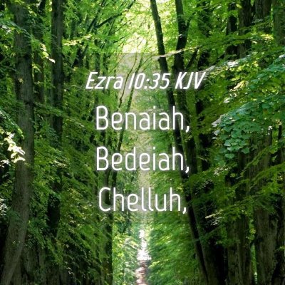Picture 04 - Ezra 10:35 KJV - Benaiah, Bedeiah, - Bible Verse Picture