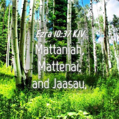 Picture 04 - Ezra 10:37 KJV - Mattaniah, Mattenai, and - Bible Verse Picture