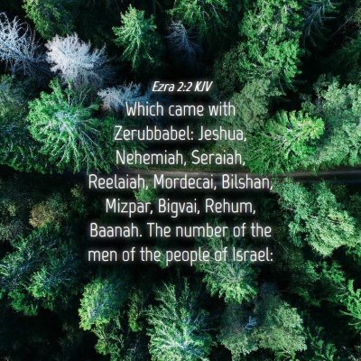 Picture 04 - Ezra 2:2 KJV - Which came with Zerubbabel: Jeshua, Nehemiah, - Bible Verse Picture