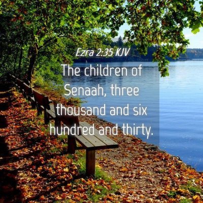 Picture 04 - Ezra 2:35 KJV - The children of Senaah, three thousand and six - Bible Verse Picture