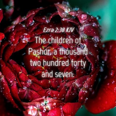 Picture 04 - Ezra 2:38 KJV - The children of Pashur, a thousand two hundred - Bible Verse Picture