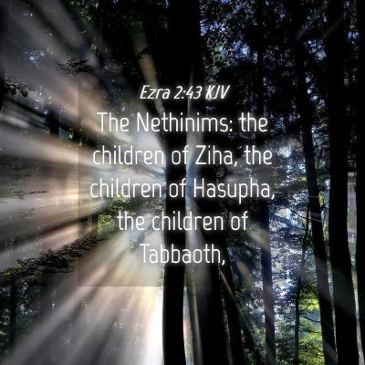 Picture 04 - Ezra 2:43 KJV - The Nethinims: the children of Ziha, the children - Bible Verse Picture