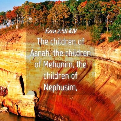 Picture 04 - Ezra 2:50 KJV - The children of Asnah, the children of Mehunim, - Bible Verse Picture