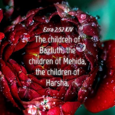 Picture 04 - Ezra 2:52 KJV - The children of Bazluth, the children of Mehida, - Bible Verse Picture
