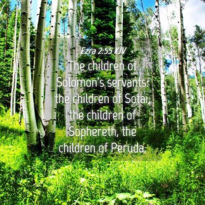 Picture 04 - Ezra 2:55 KJV - The children of Solomon's servants: the children - Bible Verse Picture