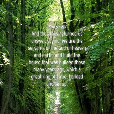 Picture 04 - Ezra 5:11 KJV - And thus they returned us answer, saying, We are - Bible Verse Picture