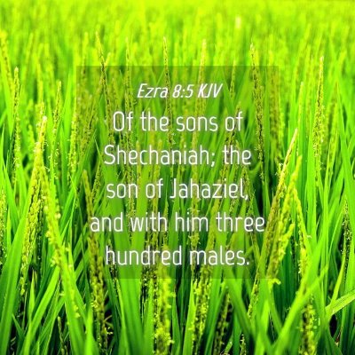 Picture 04 - Ezra 8:5 KJV - Of the sons of Shechaniah; the son of Jahaziel, - Bible Verse Picture