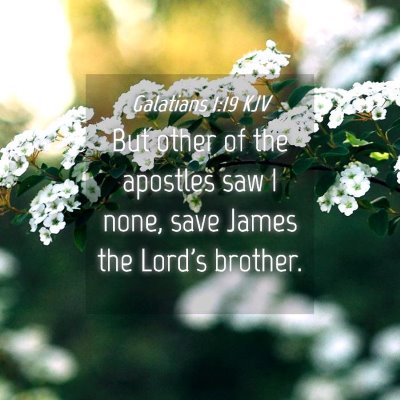 Picture 04 - Galatians 1:19 KJV - But other of the apostles saw I none, save James - Bible Verse Picture