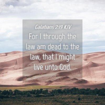 Picture 04 - Galatians 2:19 KJV - For I through the law am dead to the law, that I - Bible Verse Picture