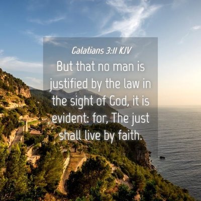 Picture 04 - Galatians 3:11 KJV - But that no man is justified by the law in the - Bible Verse Picture