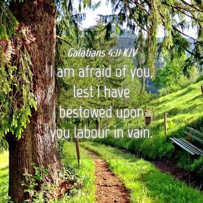Picture 04 - Galatians 4:11 KJV - I am afraid of you, lest I have bestowed upon you - Bible Verse Picture