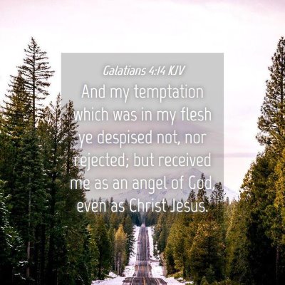Picture 04 - Galatians 4:14 KJV - And my temptation which was in my flesh ye - Bible Verse Picture