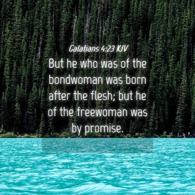 Picture 04 - Galatians 4:23 KJV - But he who was of the bondwoman was born after - Bible Verse Picture