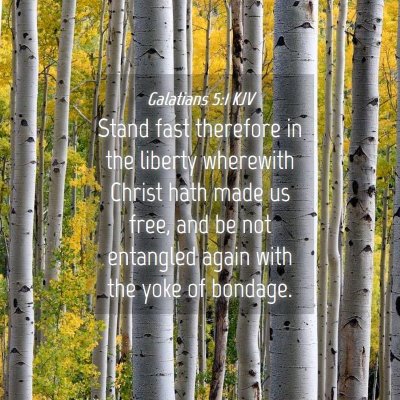 Picture 04 - Galatians 5:1 KJV - Stand fast therefore in the liberty wherewith - Bible Verse Picture