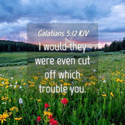 Picture 04 - Galatians 5:12 KJV - I would they were even cut off which trouble - Bible Verse Picture