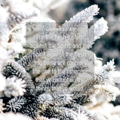 Picture 04 - Galatians 5:17 KJV - For the flesh lusteth against the Spirit, and the - Bible Verse Picture