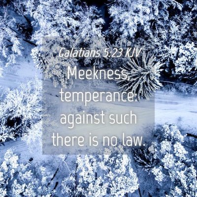 Picture 04 - Galatians 5:23 KJV - Meekness, temperance: against such there is no - Bible Verse Picture