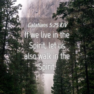 Picture 04 - Galatians 5:25 KJV - If we live in the Spirit, let us also walk in the - Bible Verse Picture