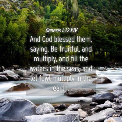 Picture 04 - Genesis 1:22 KJV - And God blessed them, saying, Be fruitful, and - Bible Verse Picture