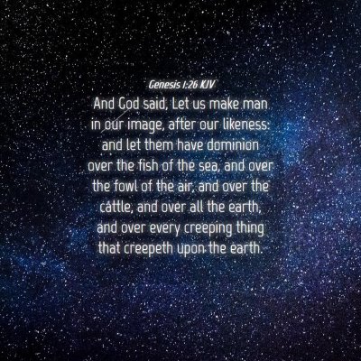 Picture 04 - Genesis 1:26 KJV - And God said, Let us make man in our image, after - Bible Verse Picture