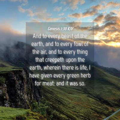 Picture 04 - Genesis 1:30 KJV - And to every beast of the earth, and to every - Bible Verse Picture