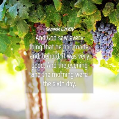 Picture 04 - Genesis 1:31 KJV - And God saw every thing that he had made, and, - Bible Verse Picture