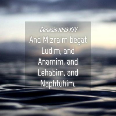 Picture 04 - Genesis 10:13 KJV - And Mizraim begat Ludim, and Anamim, and Lehabim, - Bible Verse Picture