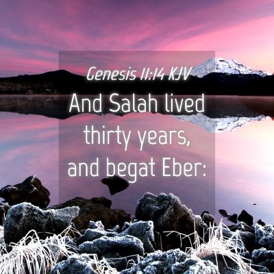 Picture 04 - Genesis 11:14 KJV - And Salah lived thirty years, and begat - Bible Verse Picture